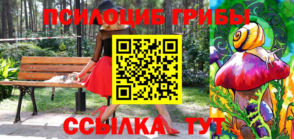 Партизанск  Псилоцибиновые грибы мицелий  Вход с VPN 